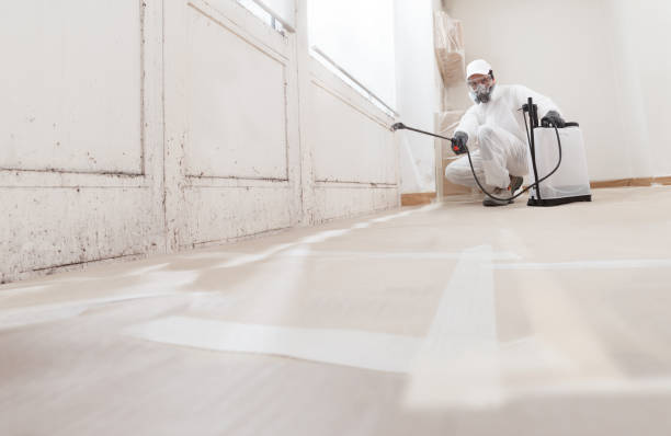 24/7 Emergency Basement Mold Remediation experts in Washington Boro, PA